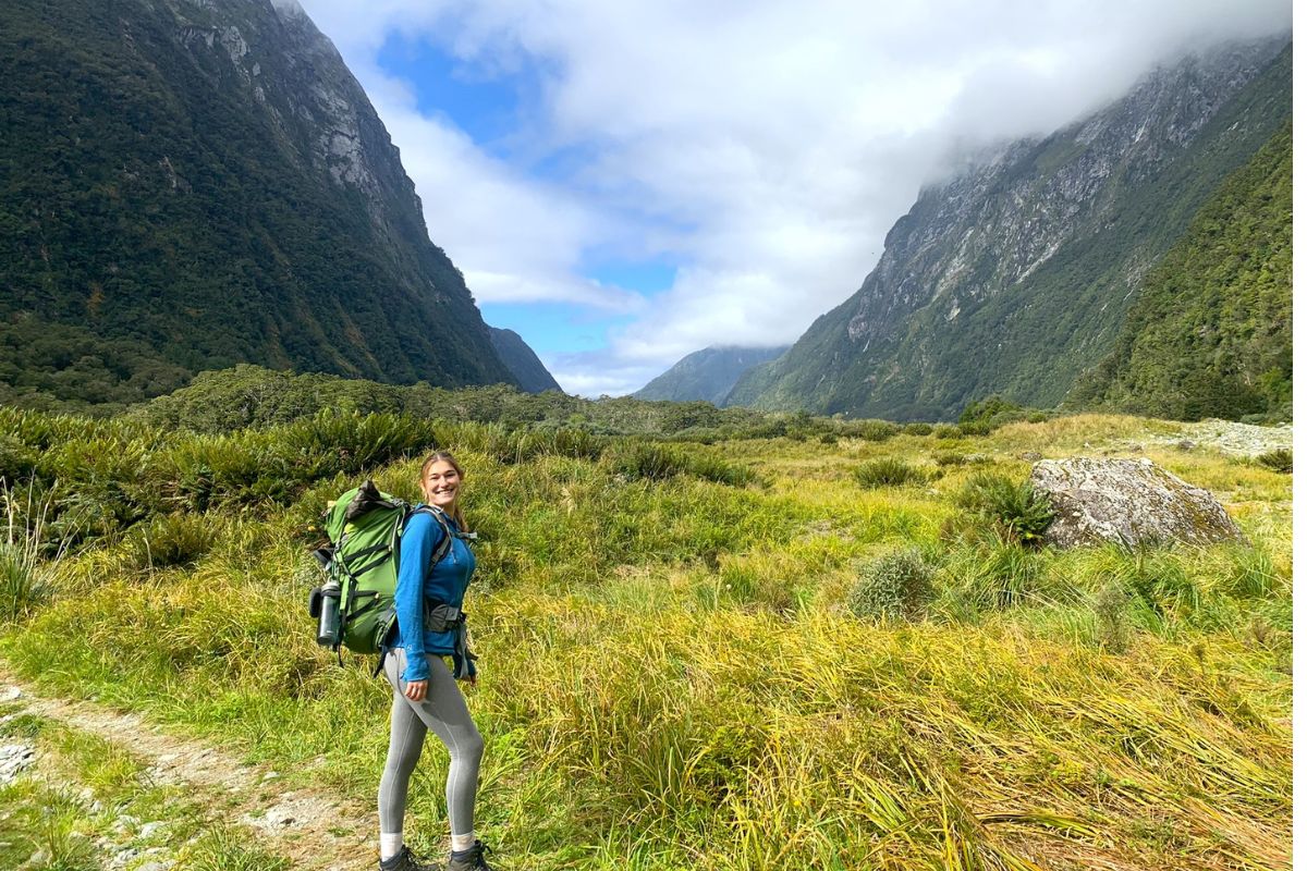 Scenic New Zealand walking track through native bush and mountains